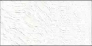 Olejová barva Old Holland 120ml – 003 Cremnitz White