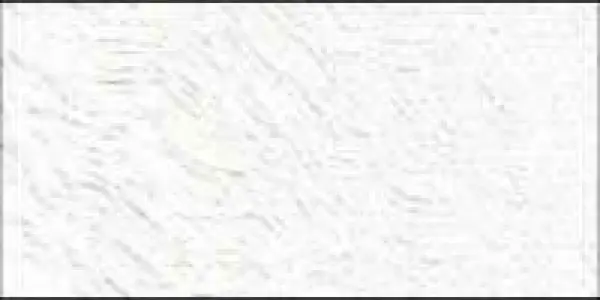 Olejová barva Old Holland 120ml – 003 Cremnitz White