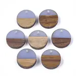 Resin & Walnut Wood Pendants
