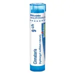 BOIRON Cinnabaris CH9 4 g