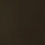 Akrylová barva Basics 118ml – 331 raw umber