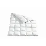 Sleeptex CELOROČNÍ PŘIKRÝVKA, 220/240 cm, peří, prachové peří