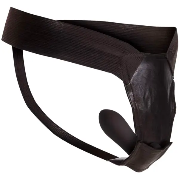 Remote Control Fantasy Panty