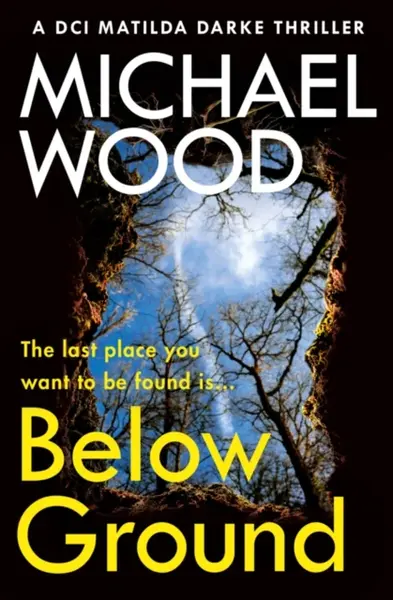 Below Ground - Michael Wood
