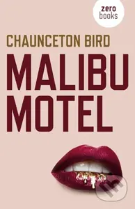 Malibu Motel (A novel about the colossal cost of free cash) - kniha z kategorie Thrillery
