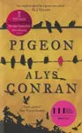 Pigeon - Alys Conran