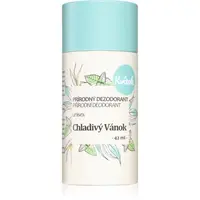 Kvitok Chladný vánok krémový dezodorant pre citlivú pokožku 42 ml