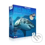 Exkurze do divočiny - Žraloci - hra z kategorie Vzdělávací hry
