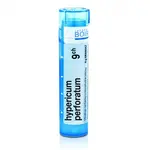 Hypericum perforatum 9CH granule 1x4g