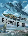 Bitevní pilot - Rostislav Stroin