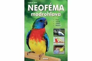 Neoféma modrohlavá - chovatelská příručka - Colin O'Hara