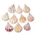 Natural Scallop Shell Pendants