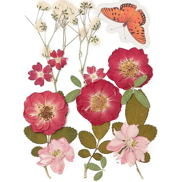 Pressed Dried Flowers