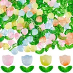 Transparent Glass Beads