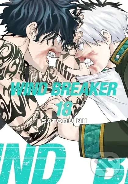 WIND BREAKER 18 - Satoru Nii - kniha z kategorie Komiksy