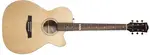 Godin Fairmount CW Flame Maple GT EQ