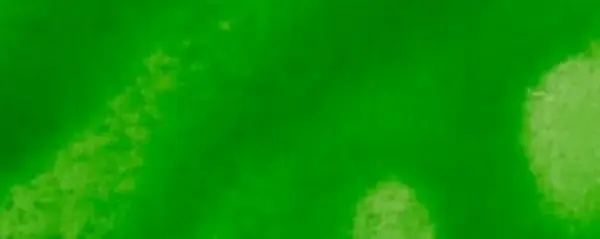 Inkoust Aura na alkoholové bázi 15ml – 150 světle zelený