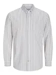 Jack & Jones Plus Košeľa 'Oxford'  tmavobéžová / biela