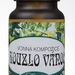 Esenciální olej červený pomeranč 10 ml, pro aroma difuzér - SALOOS Vůně: kouzlo Vánoc