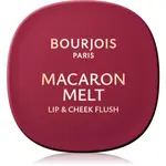 Bourjois Macaron Melt Lip & Cheek Flush lícenka 2 v 1 odtieň 05 Berry Smoothy 5 g