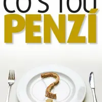 Investiční poradenství: Co s tou PENZÍ - Miloš Filip, Pospíšil Roman