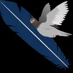 Holubí pírko - audiokniha