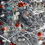 Marie Puttnerová – Lajla tóv