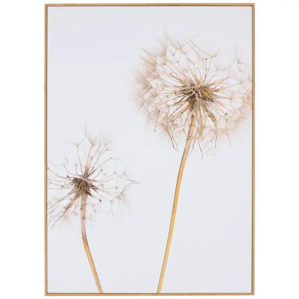 Monee TIŠTĚNÉ OBRAZY NA PLÁTNĚ, květiny, 51,2/71,2 cm