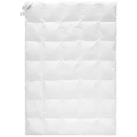 Sleeptex ZIMNÍ PŘIKRÝVKA, 140/200 cm, peří, prachové peří