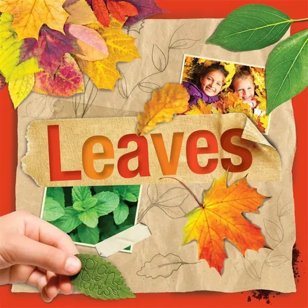 Leaves - Steffi Cavell-Clarke