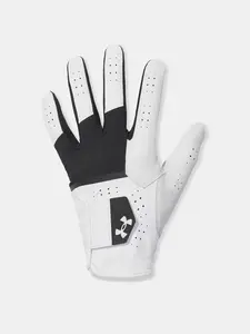 Men's gloves Under Armour Glide Iso-Chill Pro - Men's