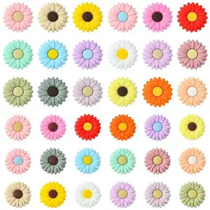 36Pcs 36 Styles Food Grade Eco-Friendly Silicone Beads