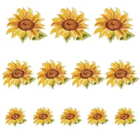 Flower Self Adhesive Computerized Embroidery Cloth Iron on/Sew on Patches