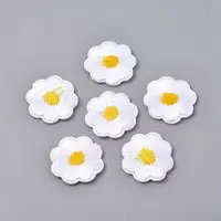 Computerized Embroidery Cloth Iron on/Sew on Patches