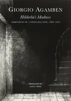 Holderlin's Madness â€“ Chronicle of a Dwelling Life, 1806â€“1843 - Giorgio Agamben, Alta L. Price