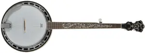 Ibanez B300 BK (použité)