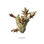 Ladě – Děti CD