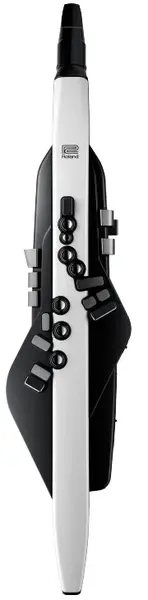 Roland AE-20