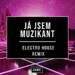 Juwe – Já Jsem Muzikant (Electro House Remix)