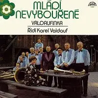Malá dechová hudba Valdaufinka – Mládí nevybouřené