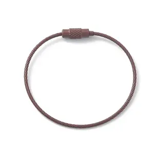 Baking Paint Stainless Steel Cable Wire Keychain