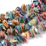 Natural Spiral Shell Beads