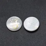 Shell Cabochons