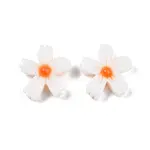 Natural Freshwater Shell Beads Strands
