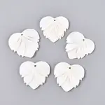 Natural Freshwater Shell Carved Pendants