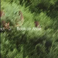 Book on Ahae - Milan Knížák
