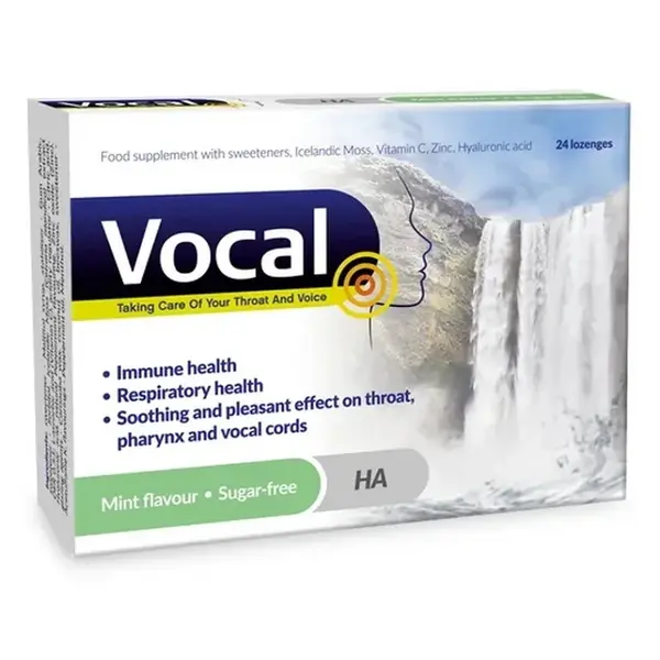 VOCAL HA Pastilky bez cukru s příchutí máty 24 kusů