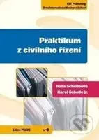 Praktikum z civilního řízení - Ilona Schelleová - kniha z kategorie Právo