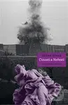 Ctnosti a Neřesti (Sochařská elegie) - Dušan Šimko - kniha z kategorie Dějiny malířství