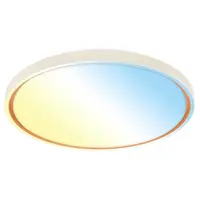 STROPNÍ LED SVÍTIDLO, 49,5/6,5 cm